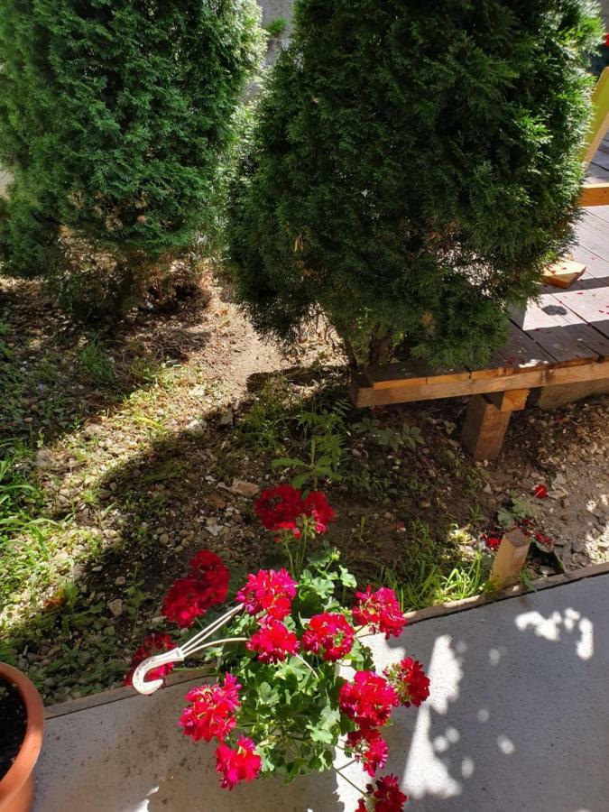 Aparthotel Tranzitbeds*** Bukurešť Exteriér fotografie